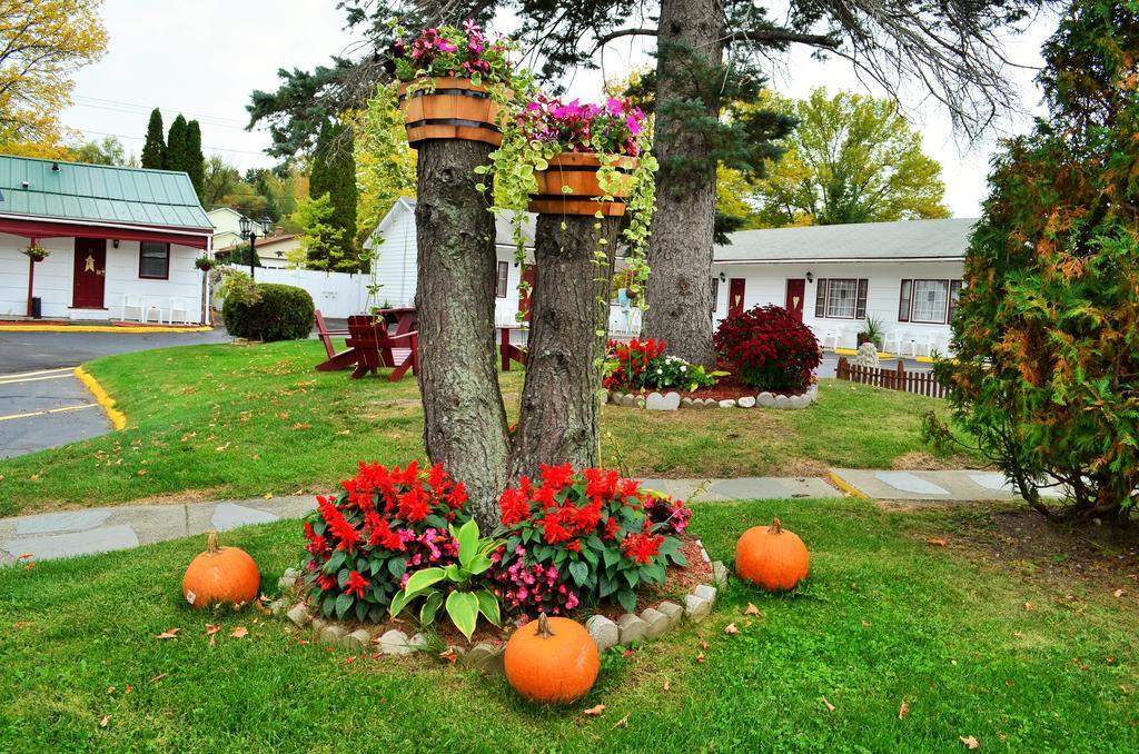 Williamstown Motel Экстерьер фото
